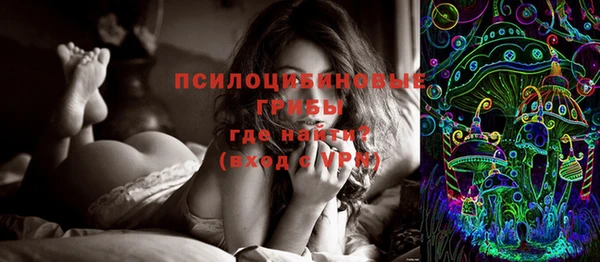 МДПВ Строитель