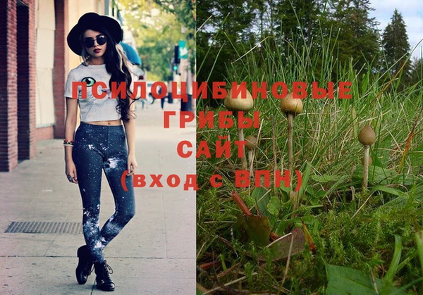 ГАЛЛЮЦИНОГЕННЫЕ ГРИБЫ Ступино