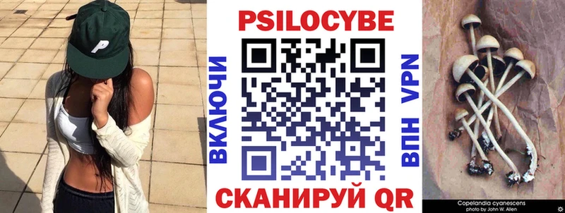 Купить  Нижневартовск  Галлюциногенные грибы Cubensis 